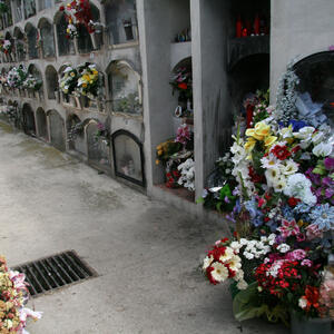 09139 Cementiri de l'est 2008