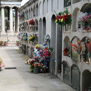 09143 Cementiri de l'est 2008