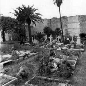 02344 Cementiri de l'est 1986